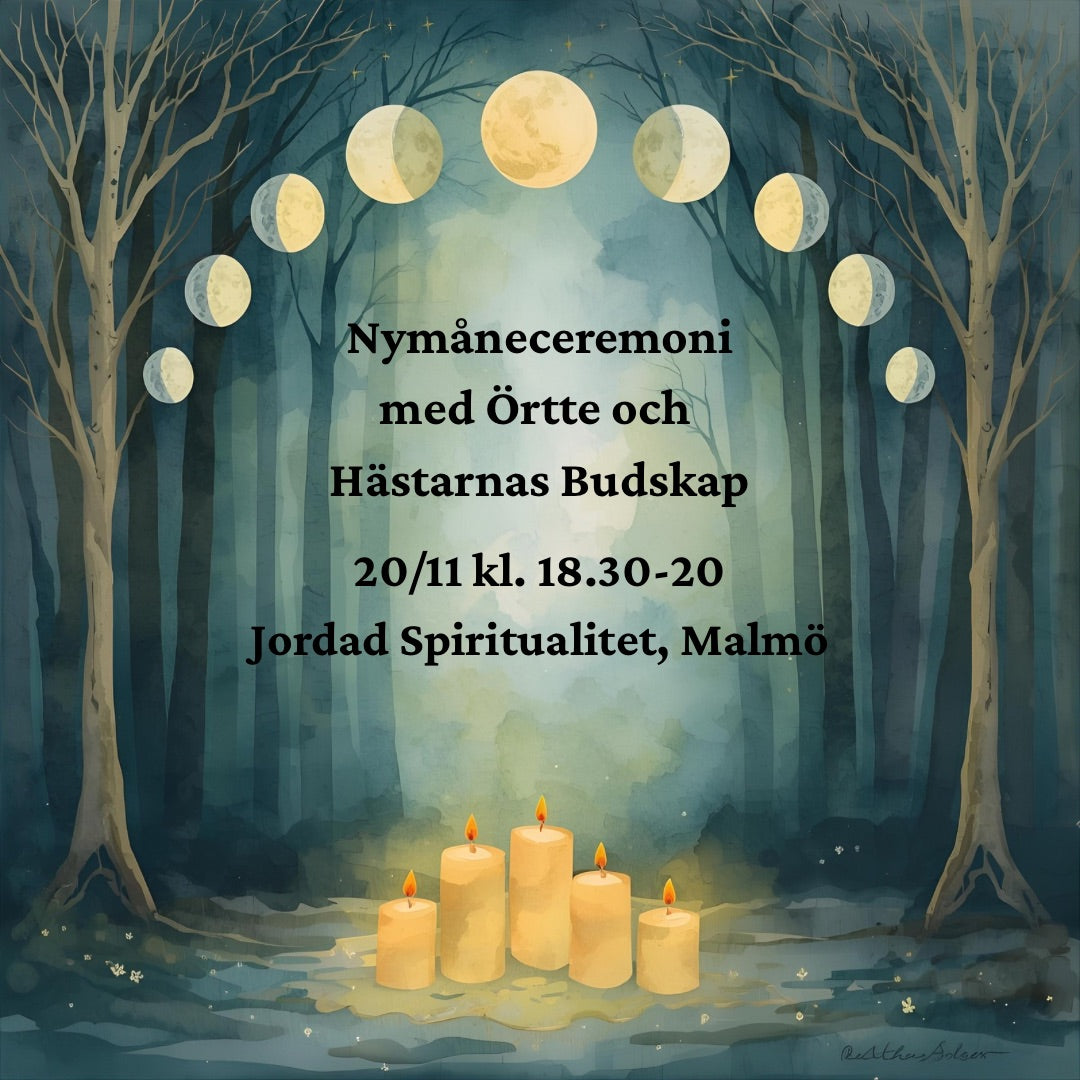 Nymåneceremoni 22/10-25, Malmö