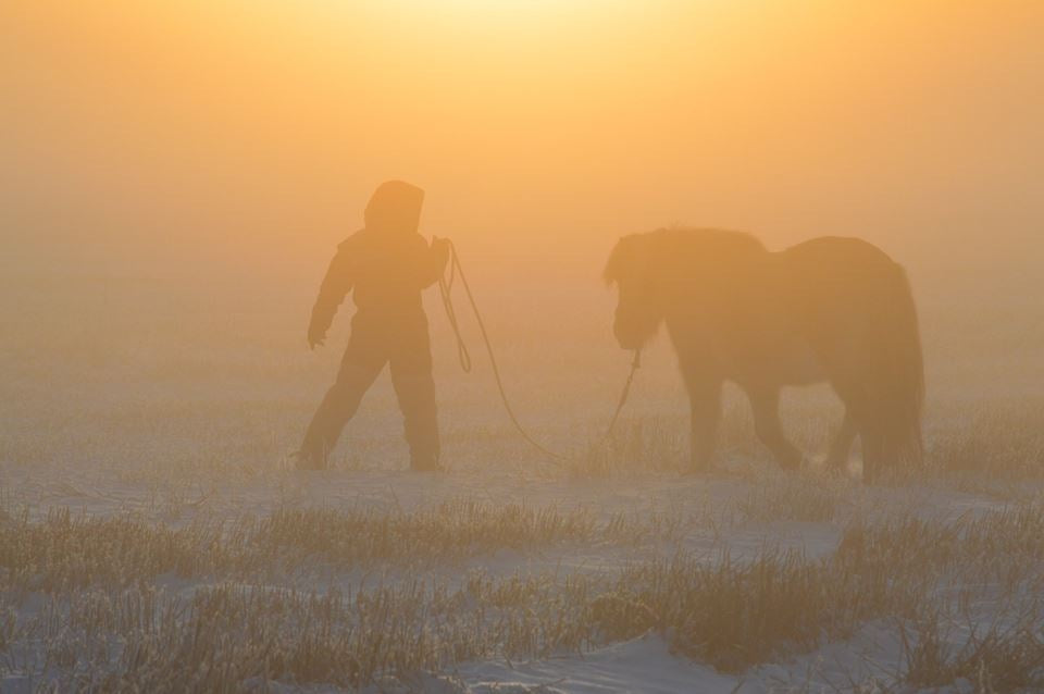 Winter solstice ceremony with the medicine of horses