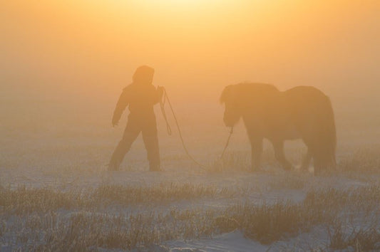 Winter solstice ceremony with the medicine of horses