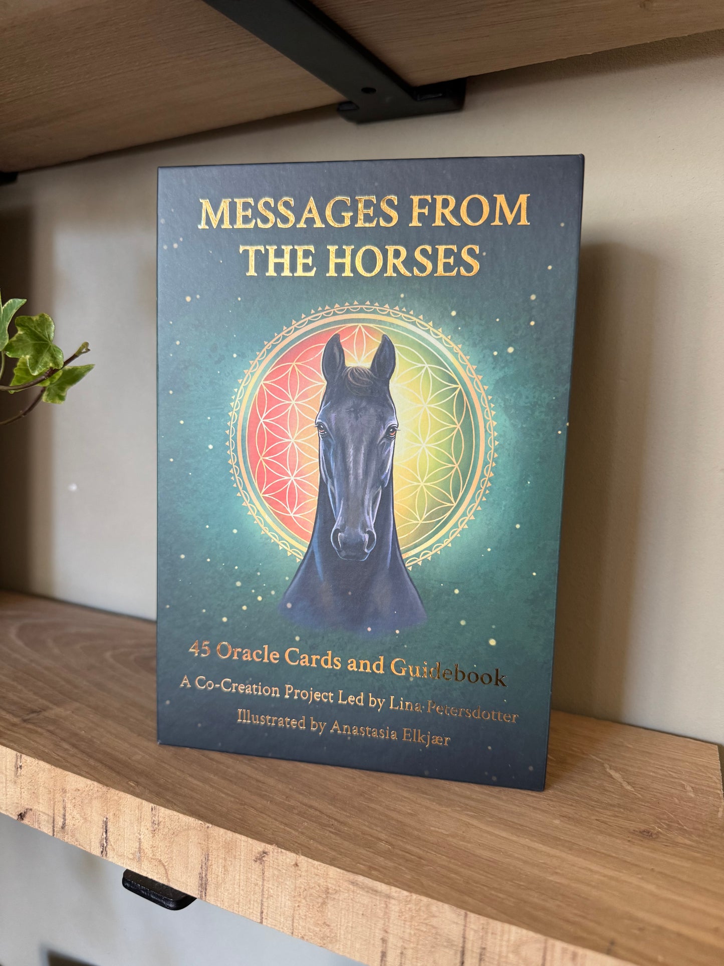 Messages from the horses - Oracle card deck, Gold edition! ENG