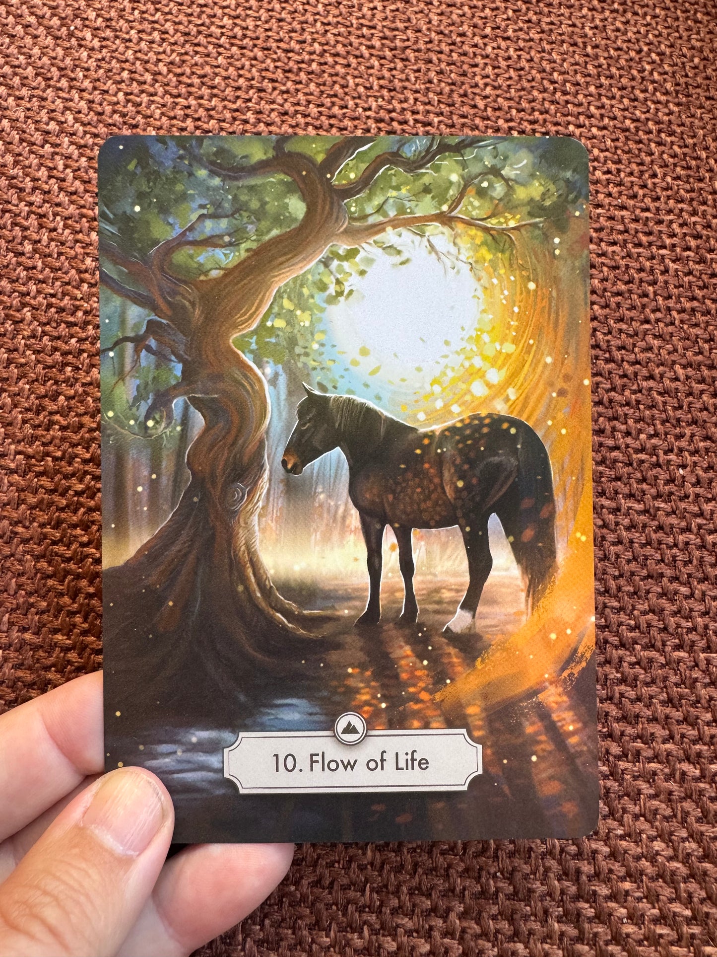 Package deal: Oracle card- deck and the book "Unlocking the wisdom of horses within you" ENG